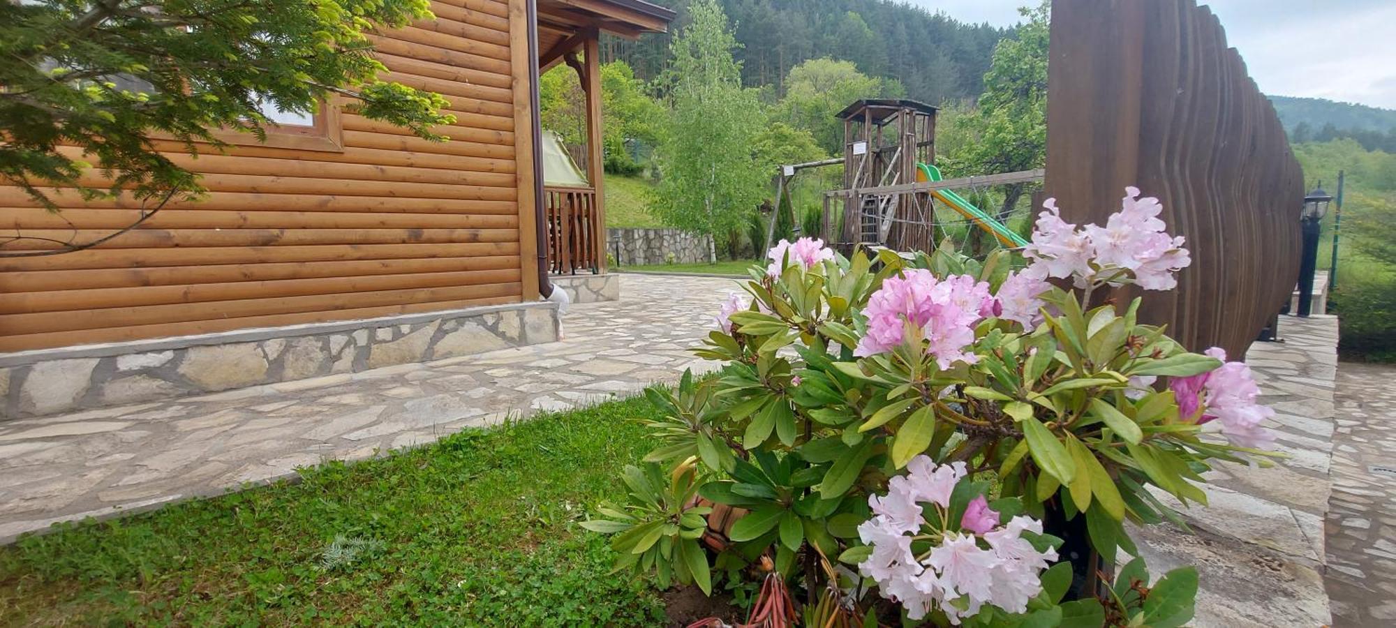 Mini Complex Rilski Terasi Sapareva Banya Exterior photo